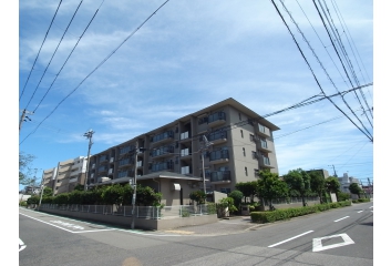 外観　北側前面には遮るものもなく通風良好