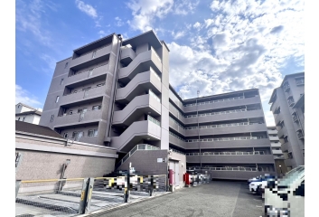 外観（北側から撮影）