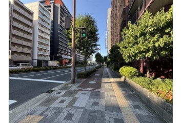 整備された歩道でお出かけの際も安心です。